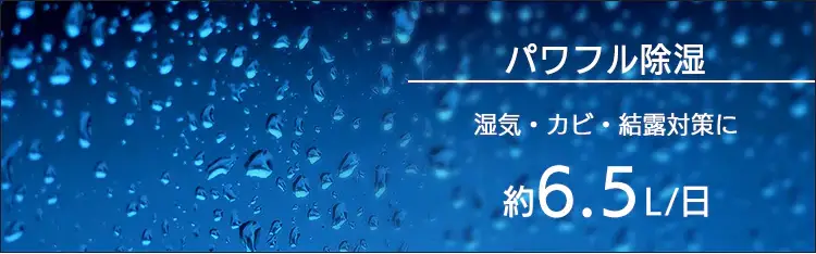 アイリスオーヤマ除湿機DCE-6515の口コミレビュー！水漏れや音がうるさい問題は実際どう？